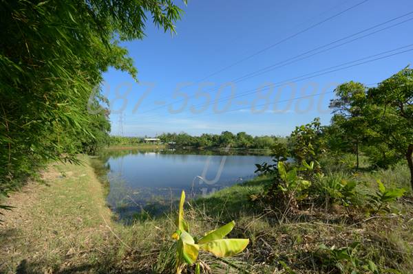 ขายด่วน! ที่ดินแแปลงสวย ราคาถูก อำเภอเมืองสุรินทร์ เหมาะทำจัดสรรที่ดิน หรือหมู่บ้านจัดสรร
